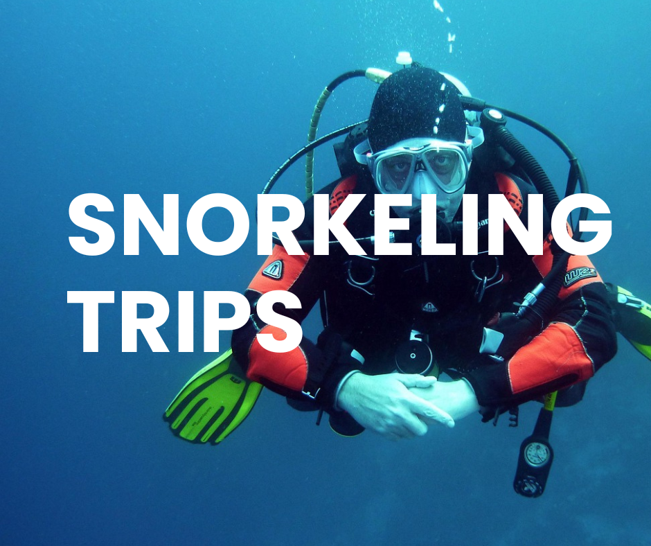 Snorkeling Trips