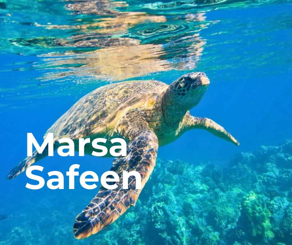 Marsa Safeen Beach