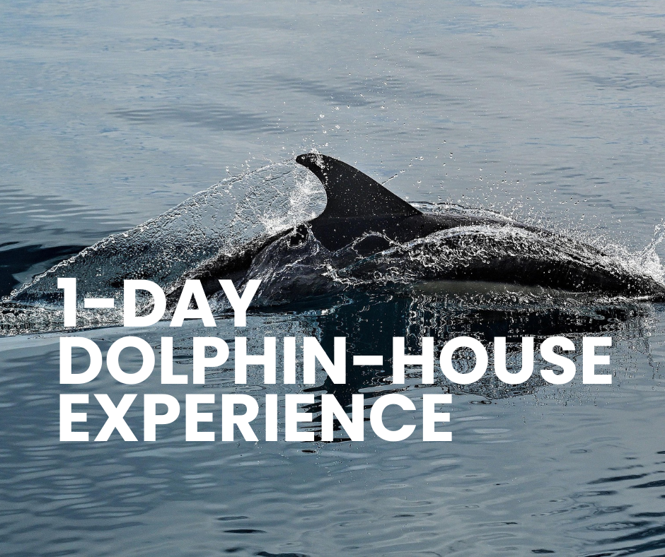 Samadi Dolphin House