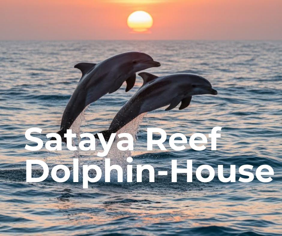 Sataya Reef Dolphin House