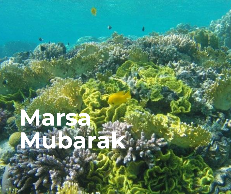 Marsa Mubarak