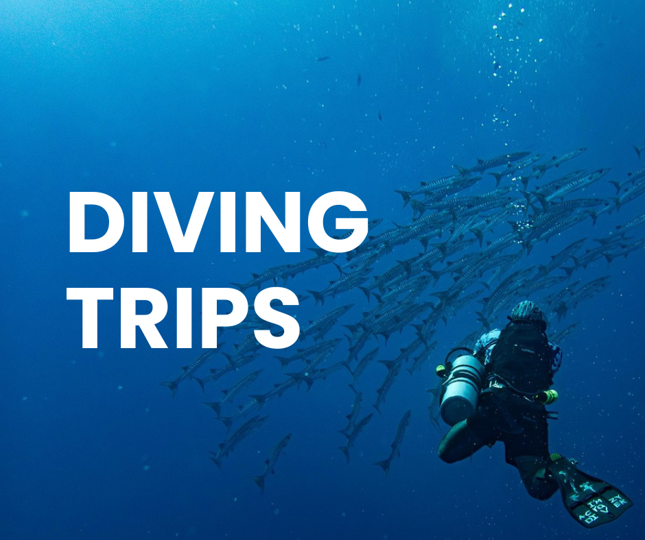 Diving Trips