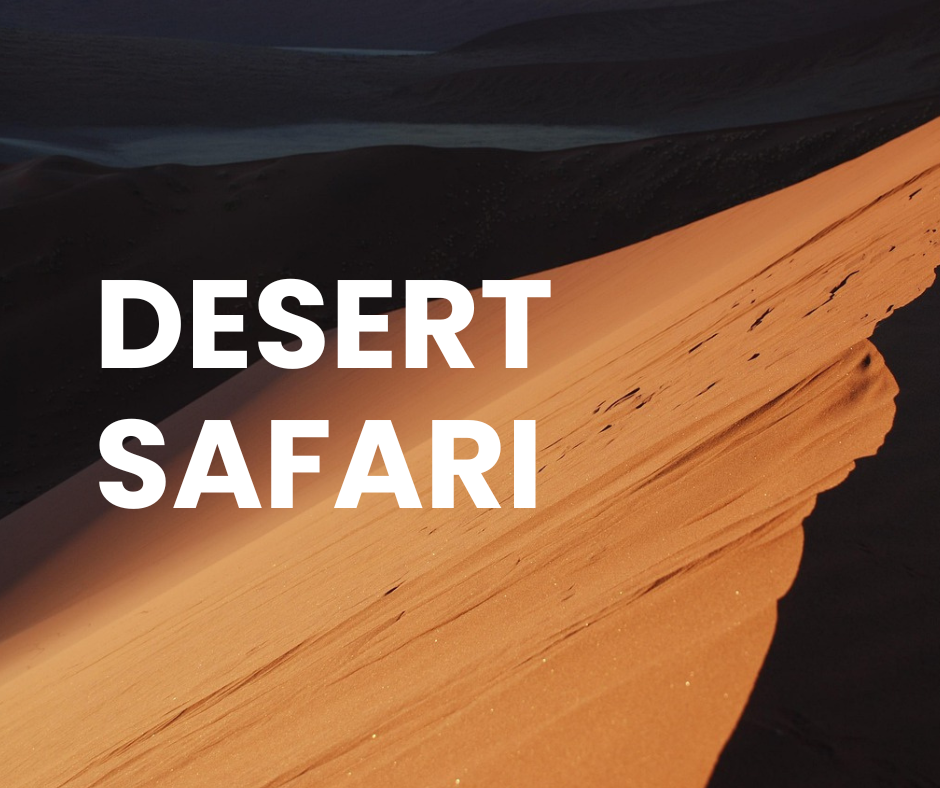 Desert Safari